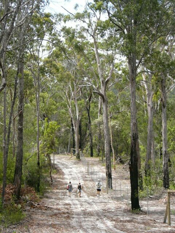 Fraser Island 3